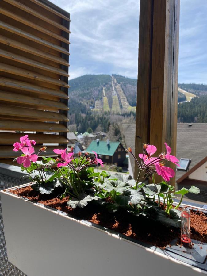Luxusni Apartman U Sjezdovek S Garazi Harrachov Exteriör bild